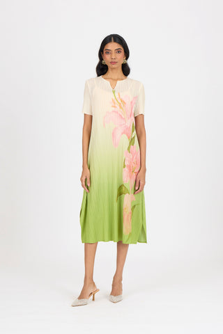 Vittoria Dress - Green Ombre