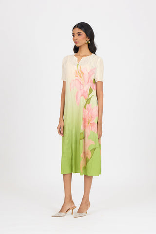 Vittoria Dress - Green Ombre