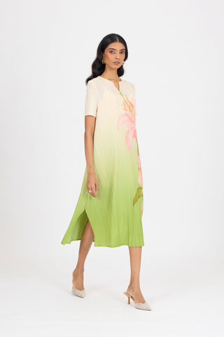 Vittoria Dress - Green Ombre