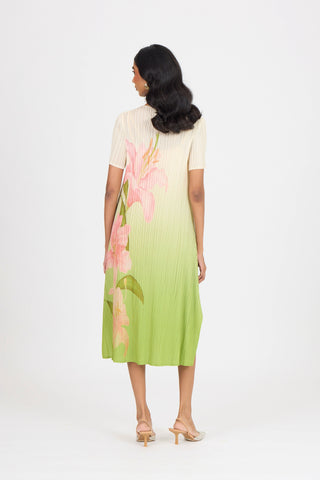 Vittoria Dress - Green Ombre