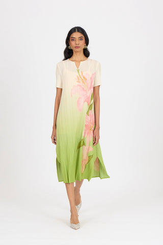 Vittoria Dress - Green Ombre