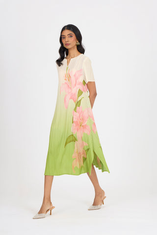 Vittoria Dress - Green Ombre