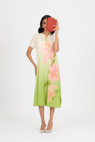 Vittoria Dress - Green Ombre