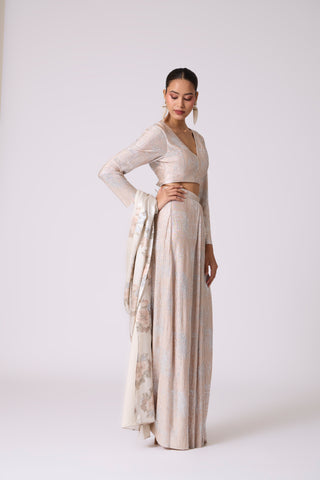 Annika Saree with Blouse - Ivory & Silver