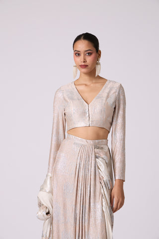 Annika Saree with Blouse - Ivory & Silver