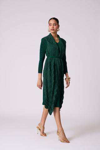 Paula Textured Overlay Dress - Green