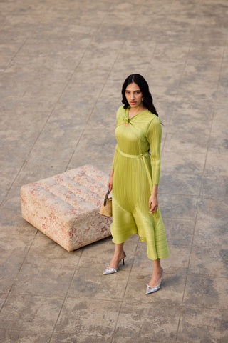 Rose Dress - Lime Green