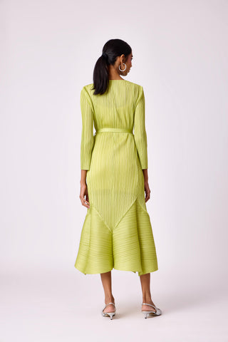 Rose Dress - Lime Green