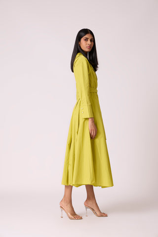 Eugenia Dress - Lime